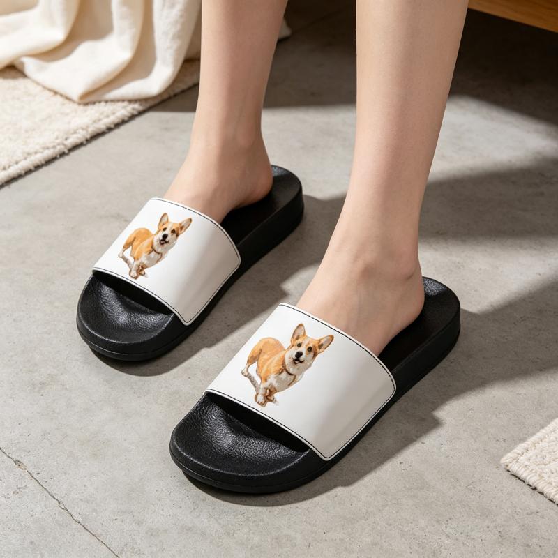 Men Shoes Illustration - Pantofole da casa da donna e