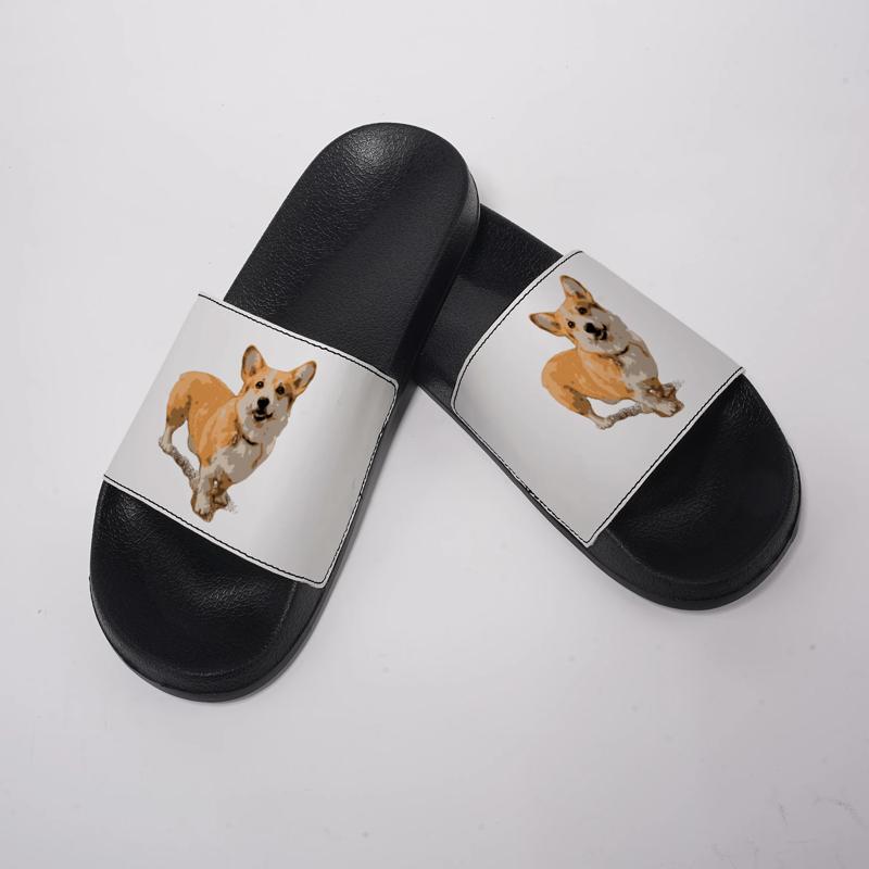Pantofole da casa da donna e d - Men Shoes Illustration recensione e prezzo